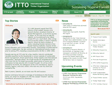 Tablet Screenshot of itto.int